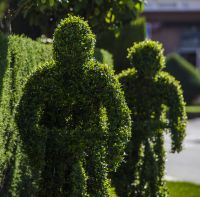 imagen2.jpg