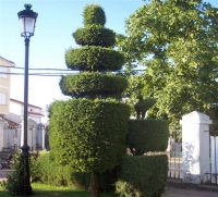 jardin1.jpg