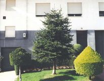 jardin4.jpg