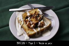 BREZO T1 Volcan de pollo_resize.JPG