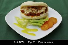 ECLIPSE T2 Picadillo Asiatico_resize.JPG