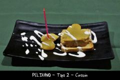 PELIKANO T2 Corazon_resize.JPG