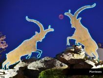 11 - Monteses.jpg
