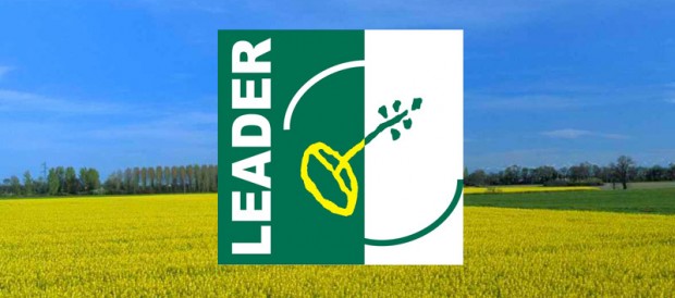 Leader