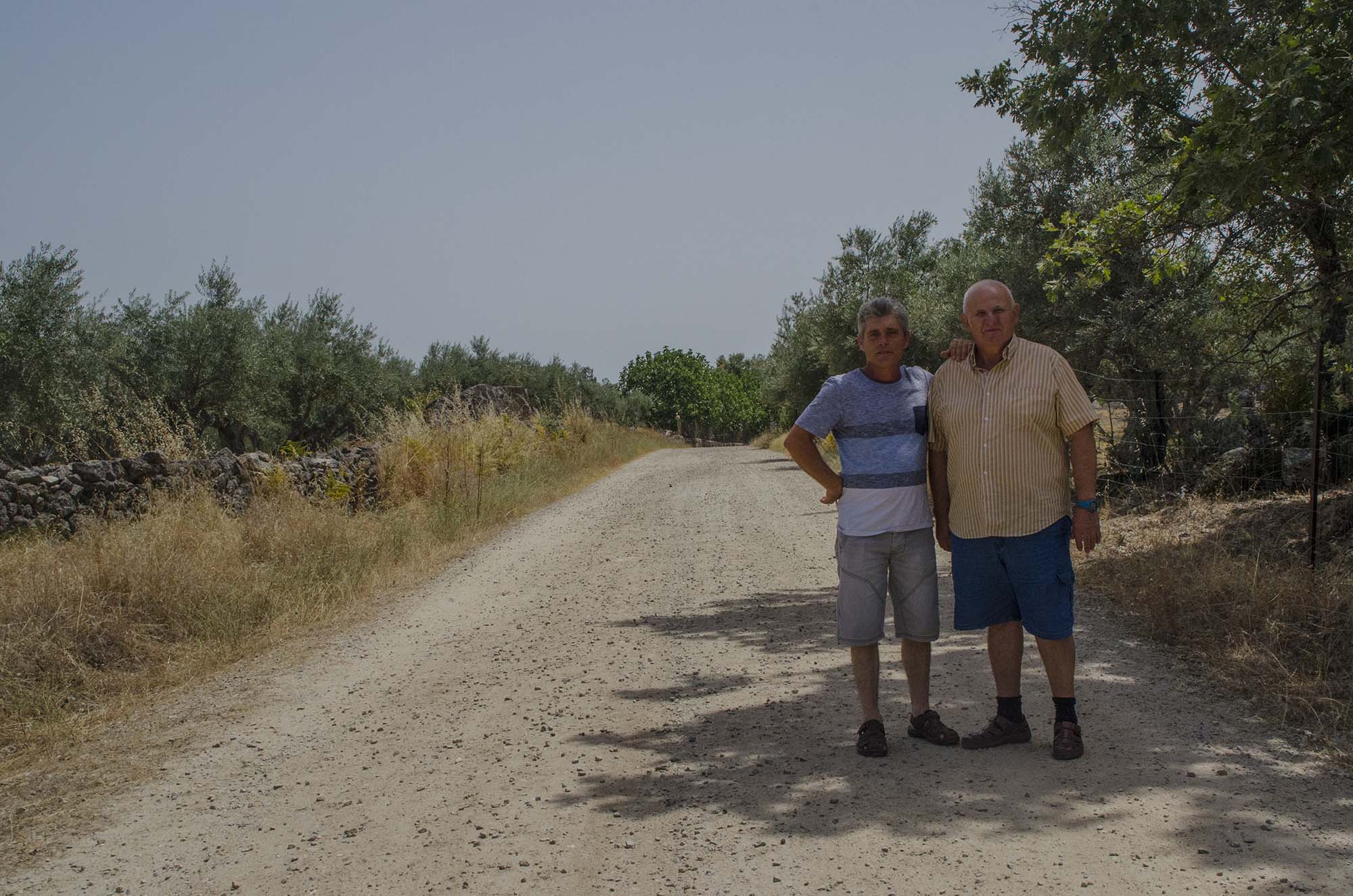 Camino
