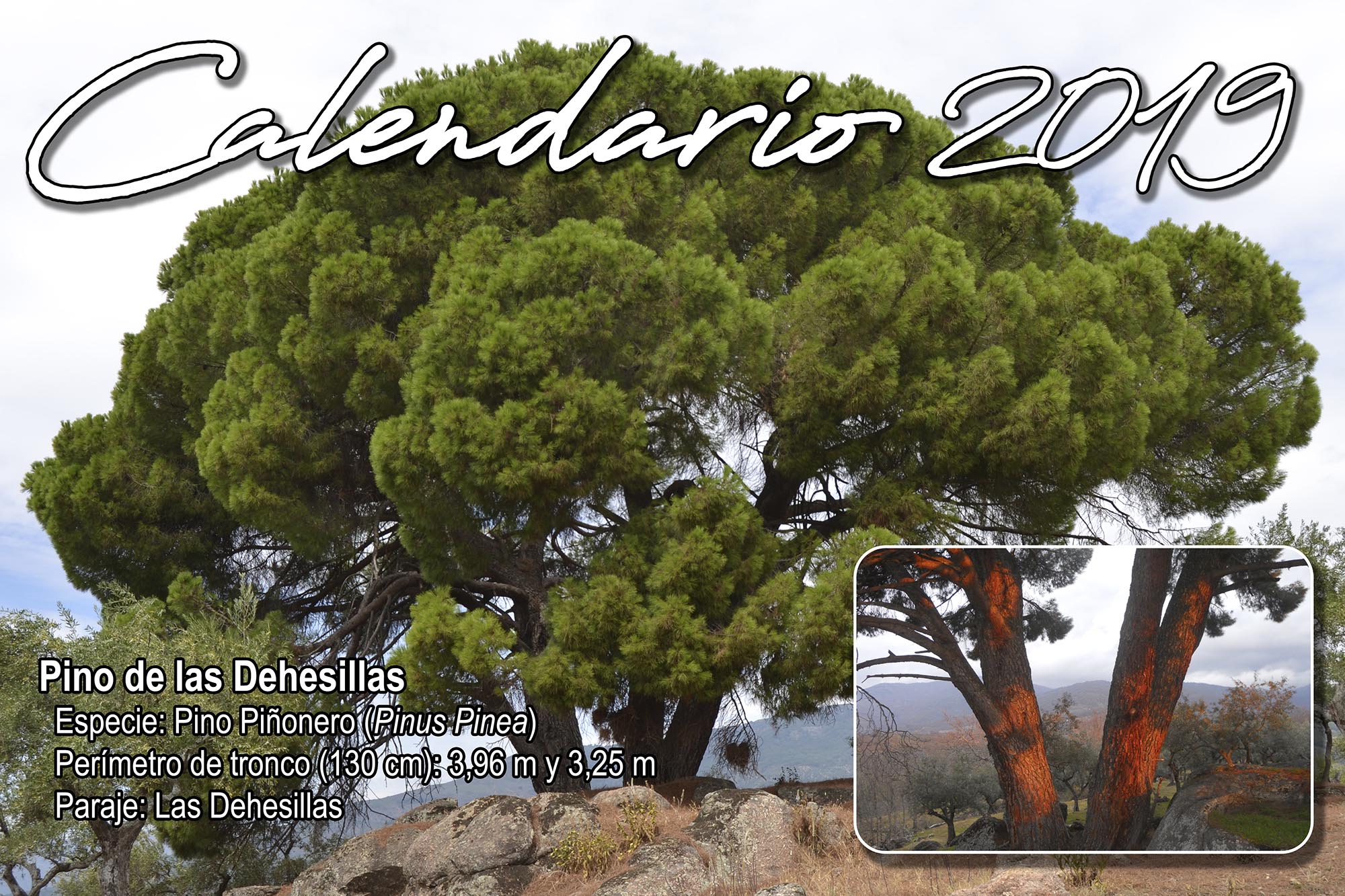 Calendario